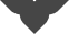 ICON SITE